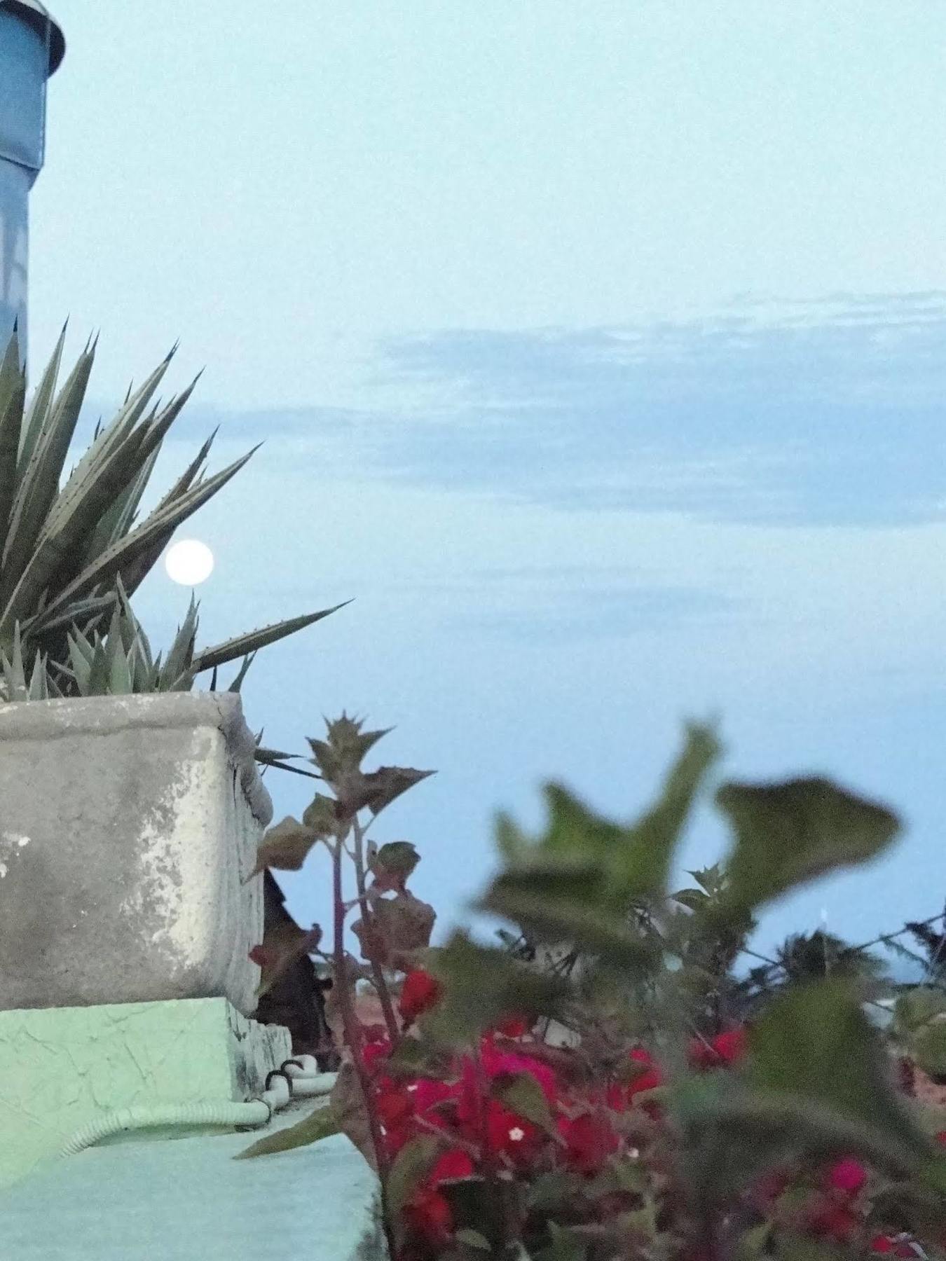 Pousada Alternativa Canoa Quebrada Εξωτερικό φωτογραφία